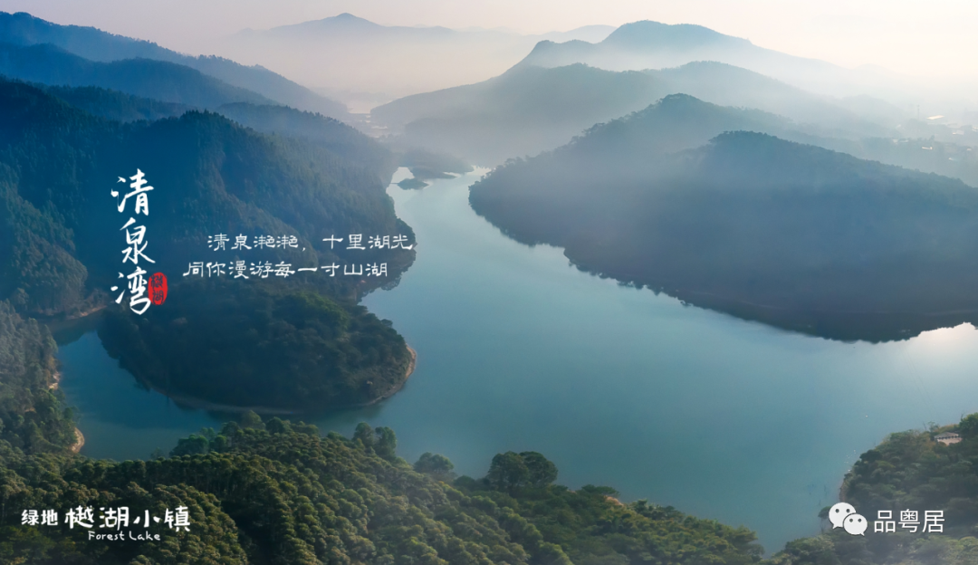 绿地樾湖小镇(图10)